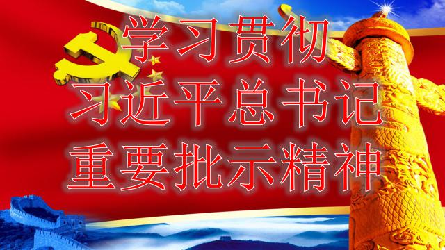 市五院召开专题会议学习贯彻习近平总书记重要批示精神-珠海市第五人民医院